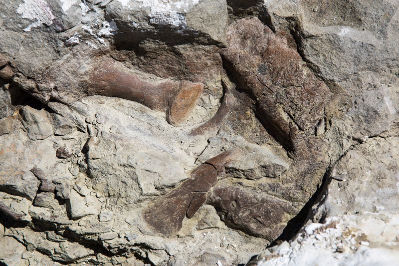 Grand Staircase-Escalante's Kaiparowits Formation