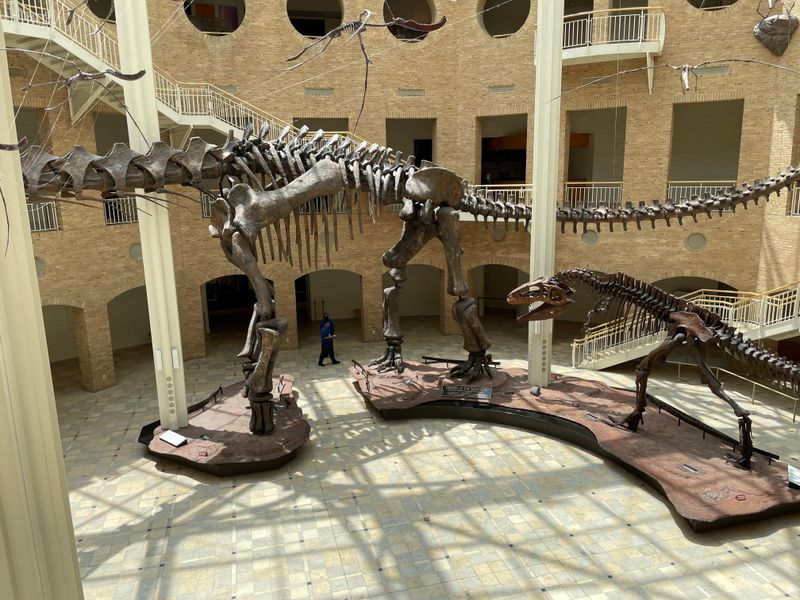 Fernbank Museum of Natural History (Atlanta, USA)