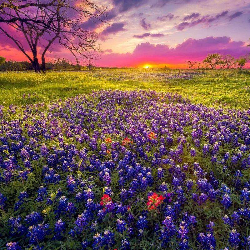 Texas Hill Country's Party Atmosphere