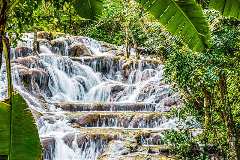 Climb Dunn's River Falls