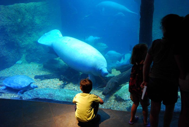 Dallas World Aquarium, Dallas, TX
