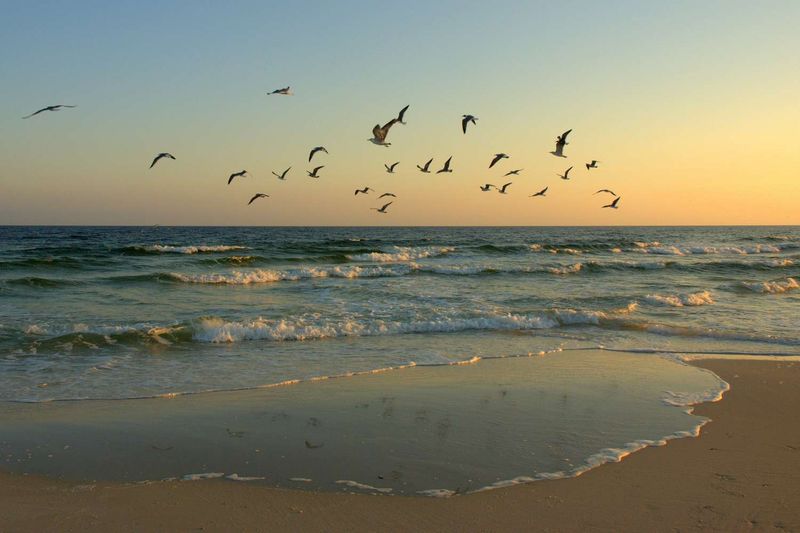 St. George Island State Park