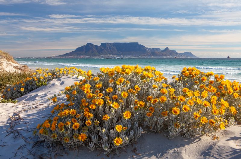 When To Visit For Peak Peacefulness