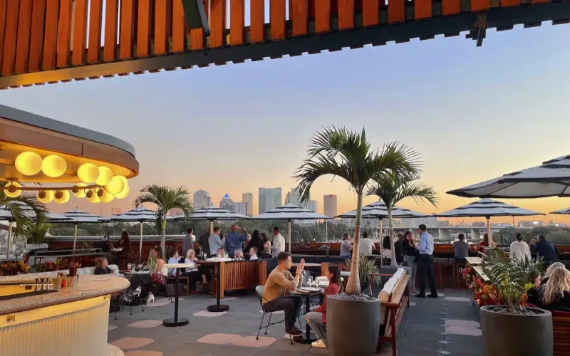 Vibrant Nightlife Without the Attitude
