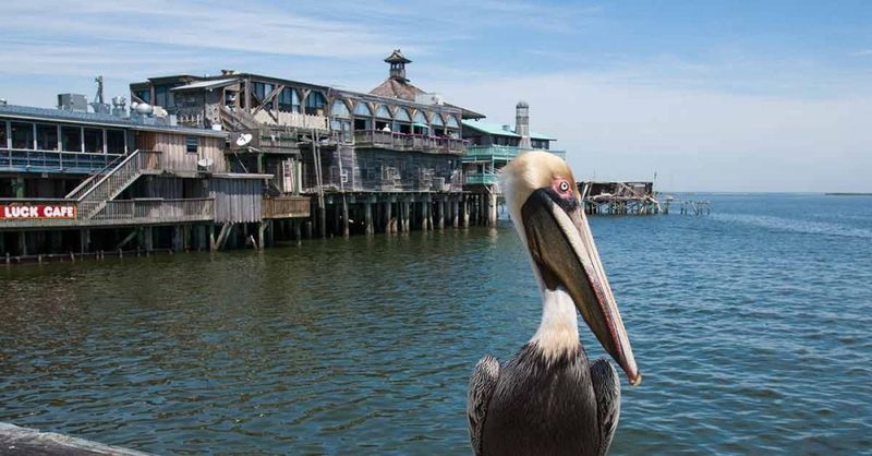 Cedar Key