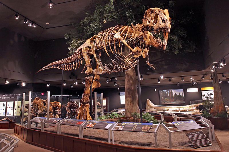 Museum Of The Rockies – Bozeman, Montana