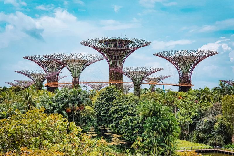 Singapore's Garden Walking Network