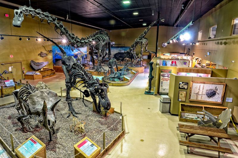 Wyoming Dinosaur Center (Thermopolis, USA)