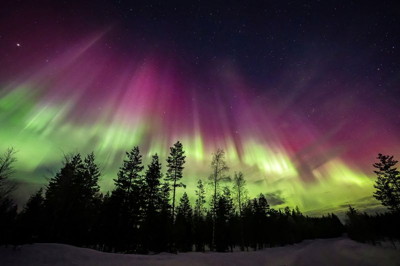 Arctic Circle's Northern Lights Dance Will Haunt My Dreams