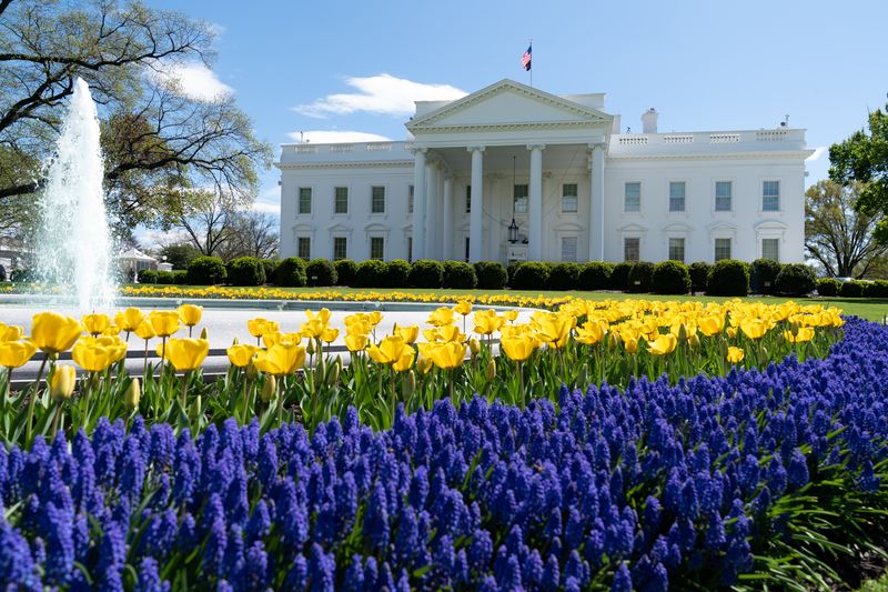 The White House