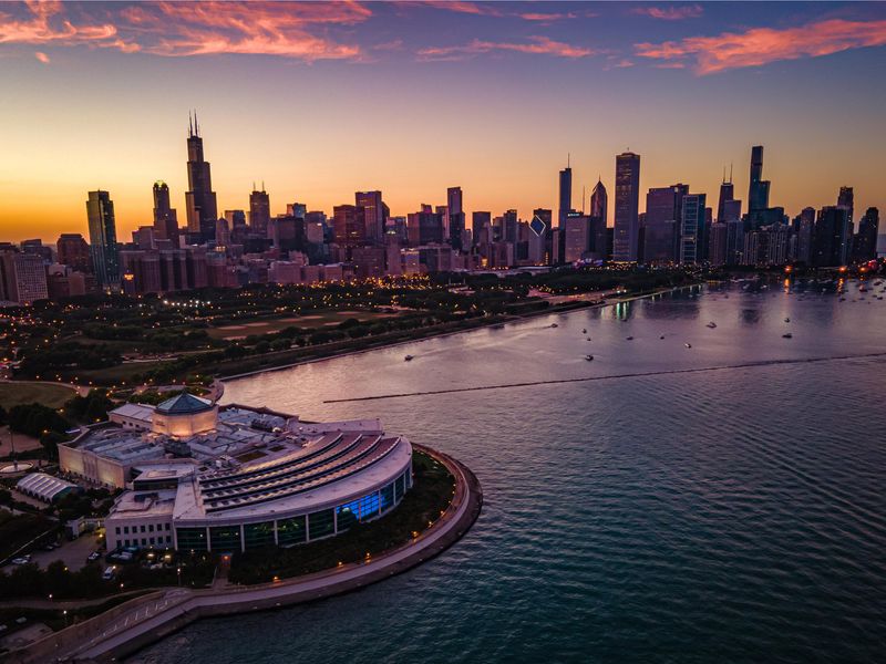 Shedd Aquarium - Chicago