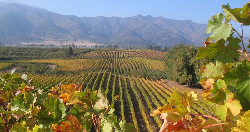 Colchagua Valley, Chile