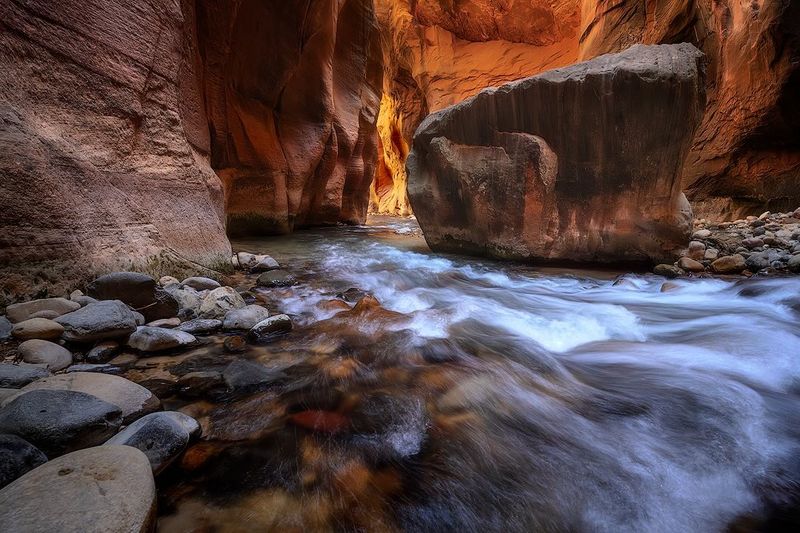 Zion National Park: Canyon of Wonders
