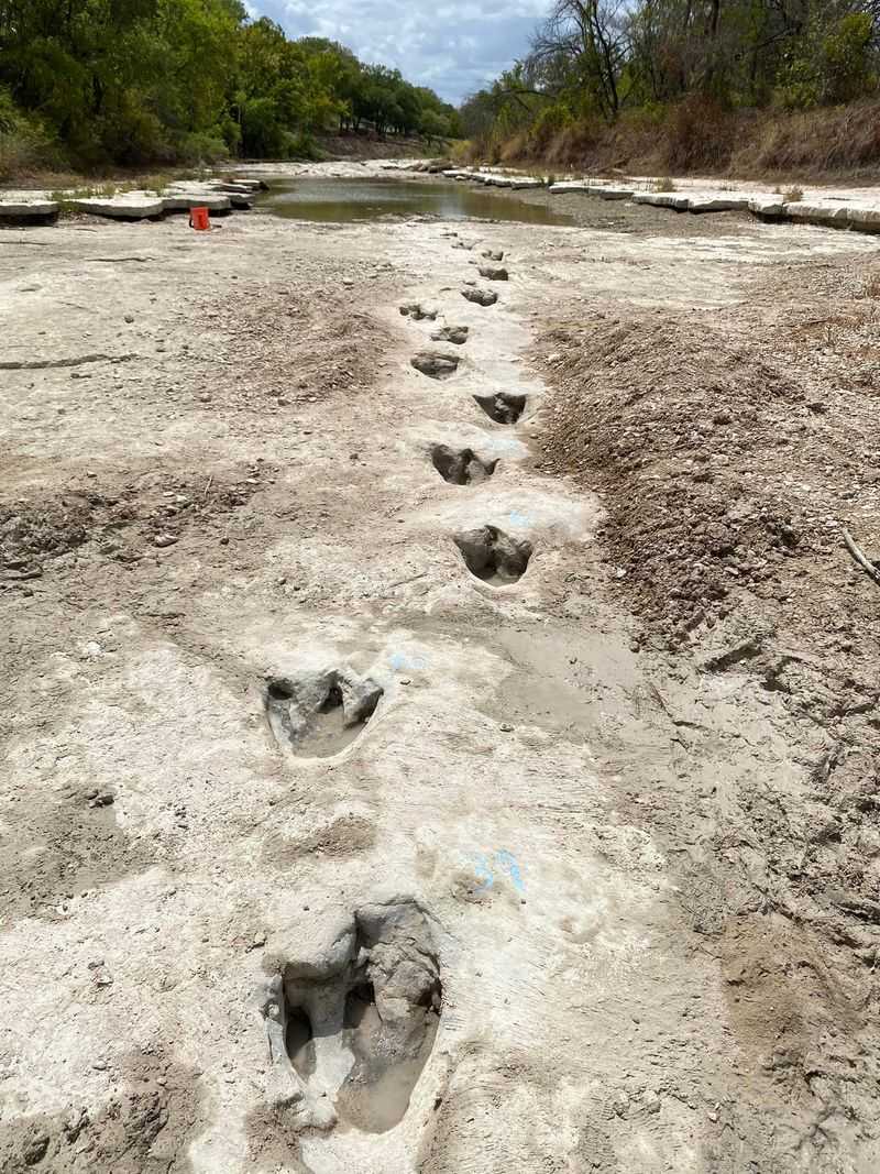 Dinosaur Valley State Park, Texas, USA