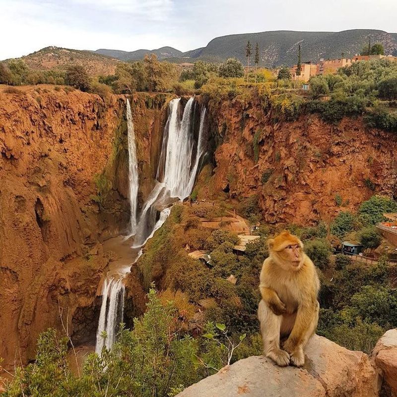 Ouzoud Falls, Morocco