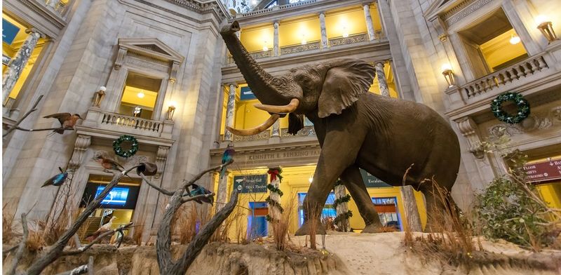 Smithsonian Museums, Washington, D.C.