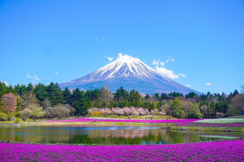 Mount Fuji, Japan