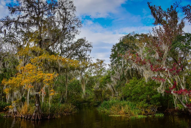 Thibodaux - Bayou Charm and Academic Flair