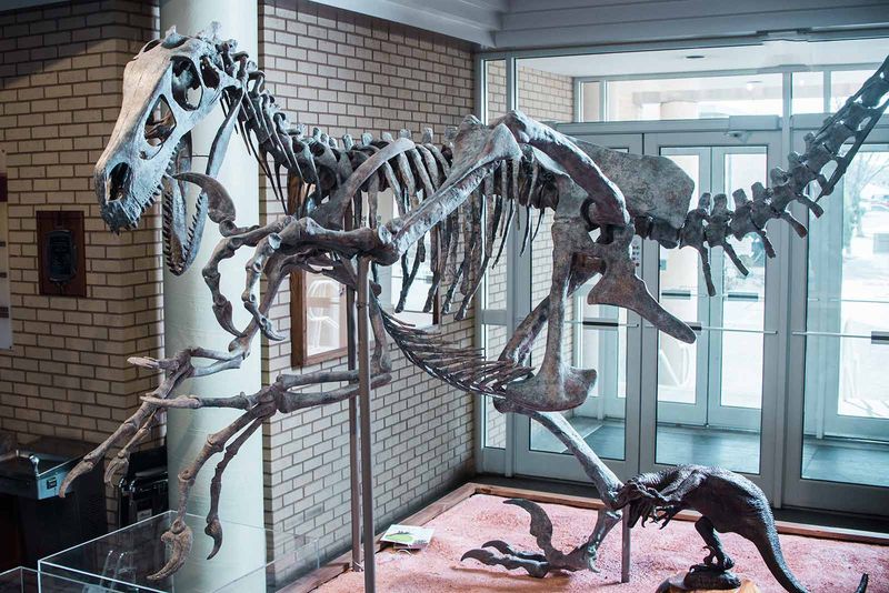 Prehistoric Museum in Price
