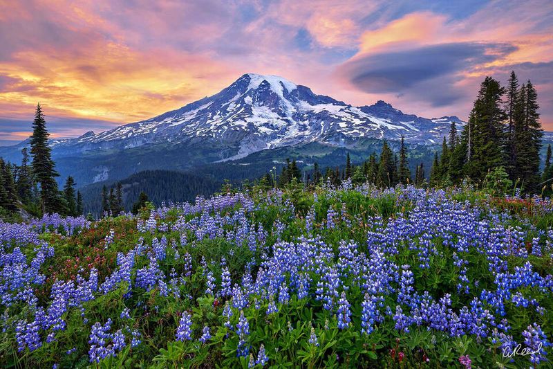 Mount Rainier
