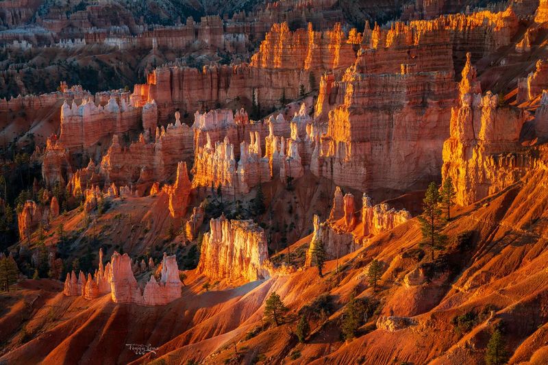 Bryce Canyon: Otherworldly Hoodoo Formations