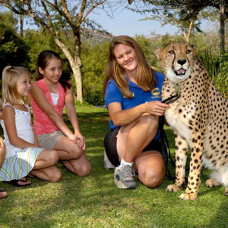 San Diego Zoo and Balboa Park