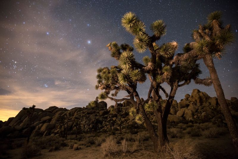 Joshua Tree National Park, California
