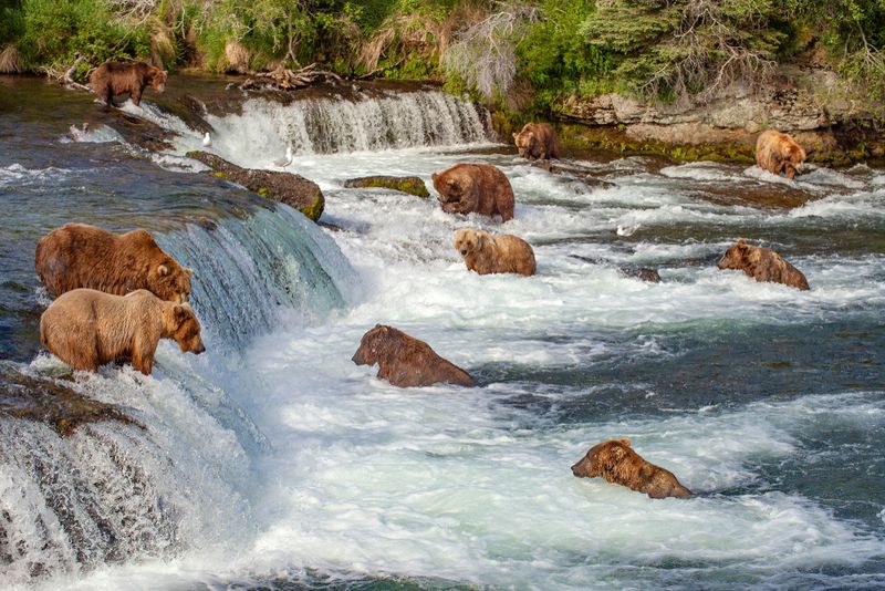 Katmai National Park, Alaska