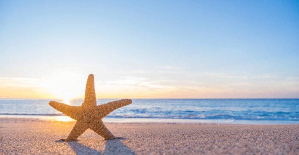 Gulf Coast Beach Towns Ranked: The Best 7 To Visit And 5 That Fall Flat