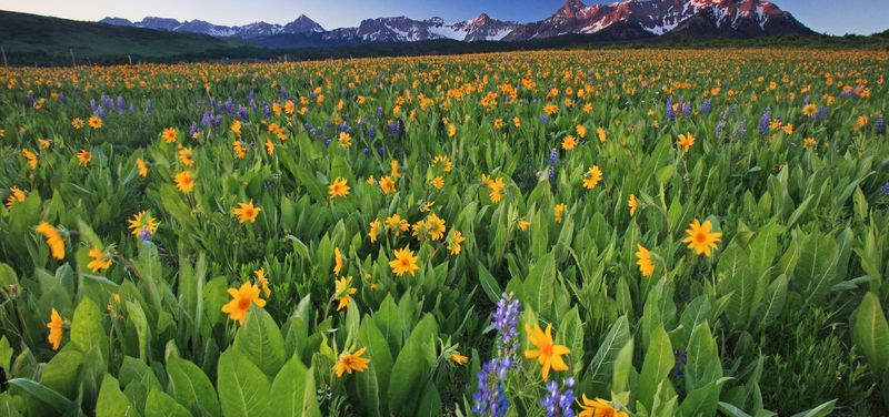 Colorado's Rocky Mountain Majesty