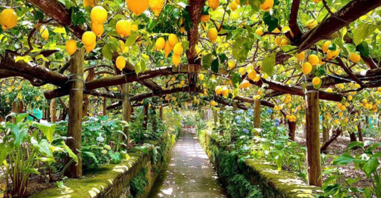 Here Are 9 Things Tourists Should Do To Experience Amalfi Coast Like A Local