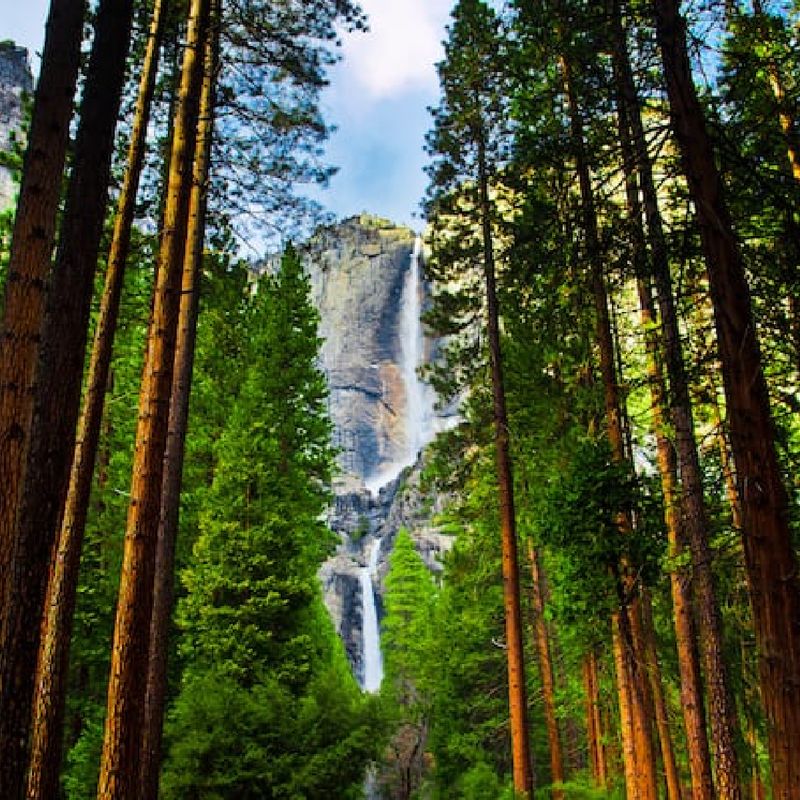 Yosemite National Park, California