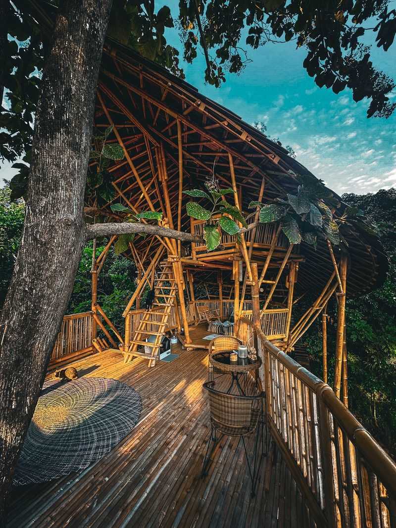 Bamboo Sanctuary