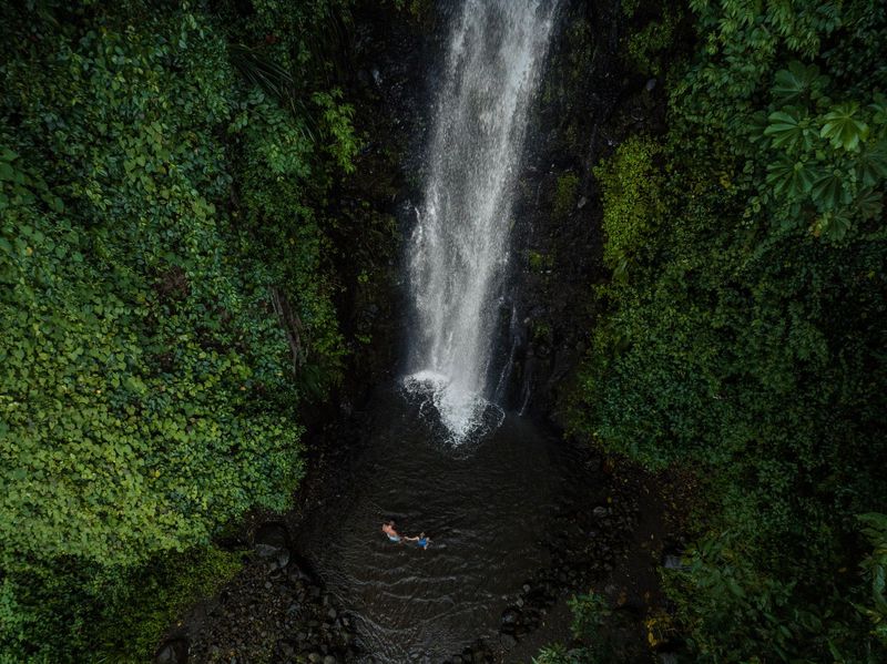 Swim Under Dark View Falls