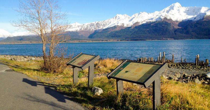 Stroll The Seward Waterfront Park And Path