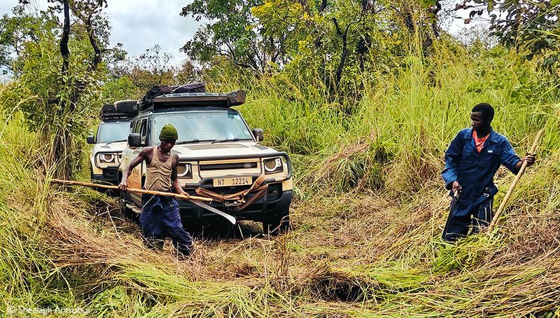 Budget Safari in Tanzania During Rainy Season