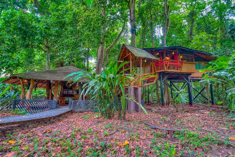Costa Rican Treehouse Lodge: Perfect Harmony With Nature