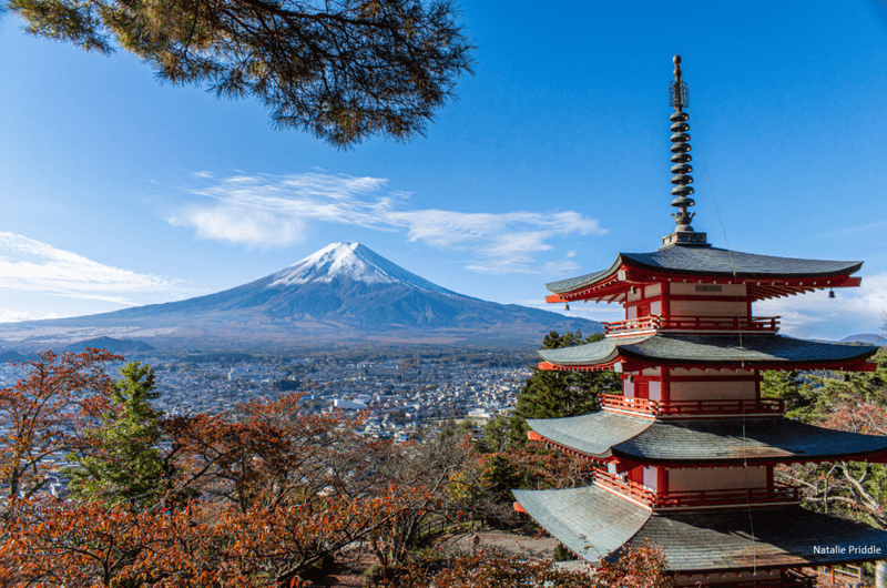 Mount Fuji Viewpoint (Hakone or Lake Kawaguchi)