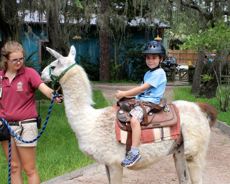 Family-Friendly Adventures Without the Chaos