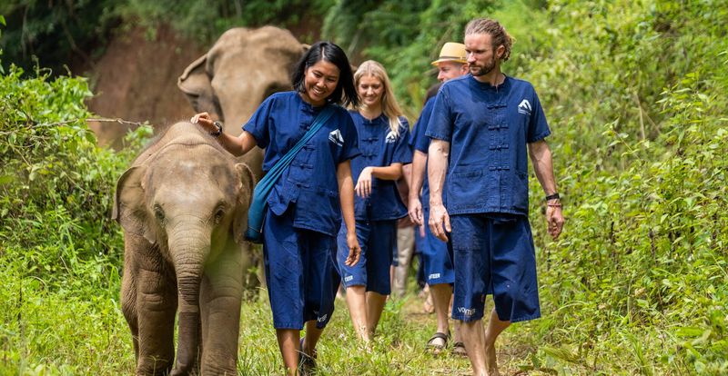 Wildlife Rescuers In South Africa