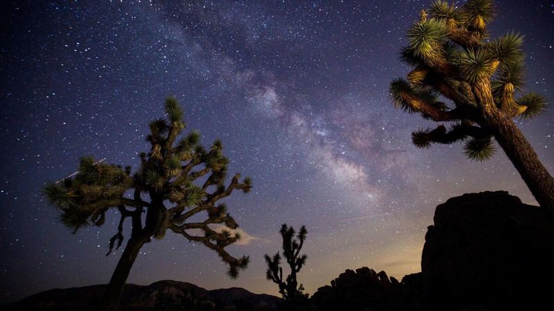 Photograph The Night Sky