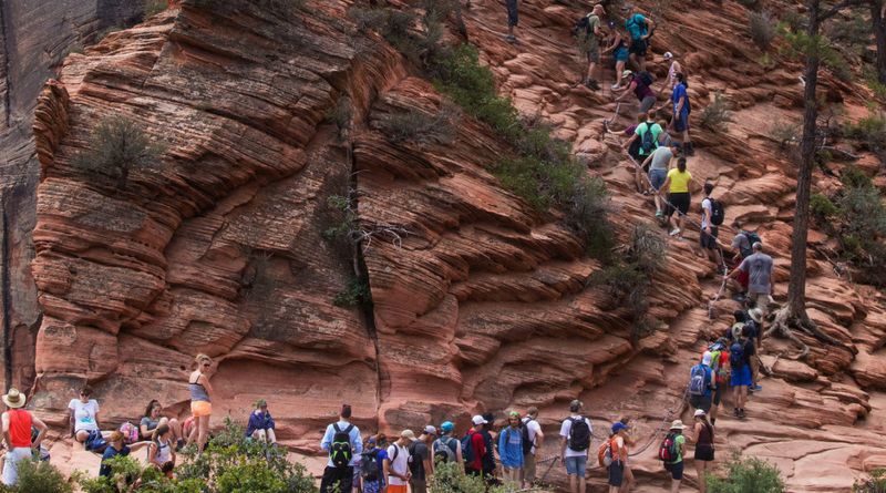 Angels Landing: More Like Tourist Landing