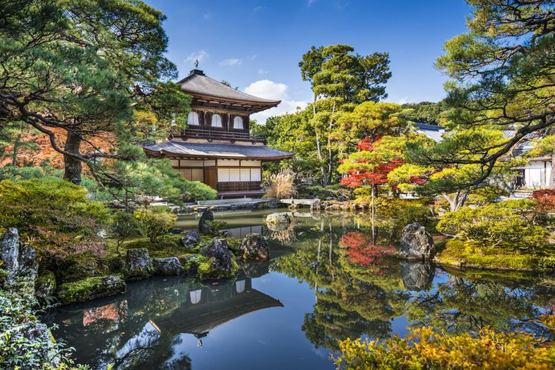 Kyoto's Tranquil Gardens