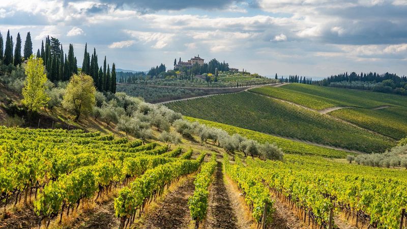 Tuscany's Chianti Region