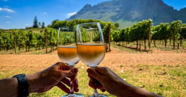 In My Travels, I Found 8 Wine Spots With Incredible Food + 4 That Served Overpriced Booze And Mediocre Meals