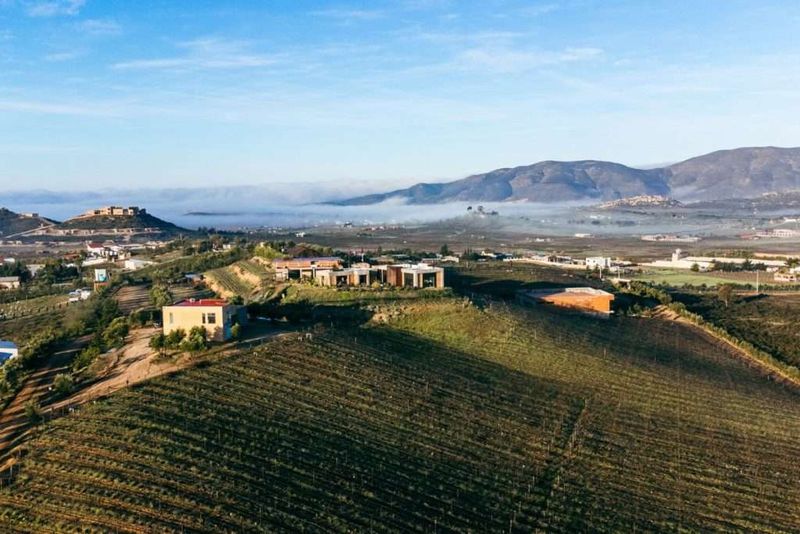 Explore Boutique Winemaking at Las Nubes