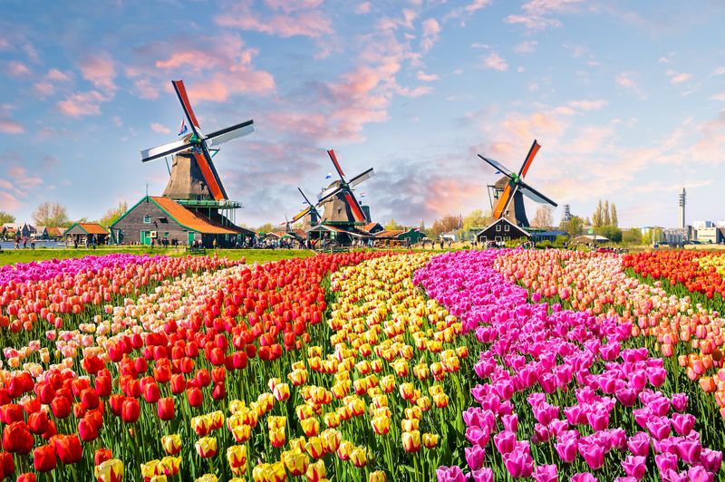 Netherlands: More Than Just Amsterdam