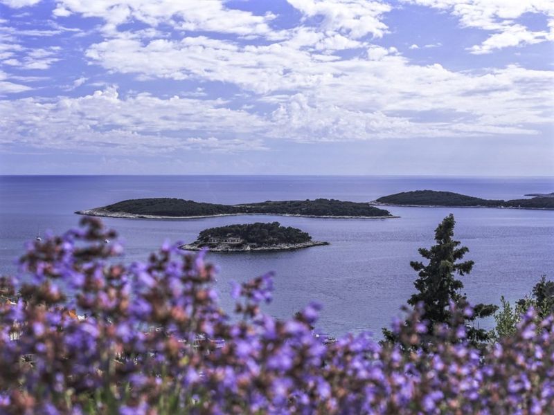 Hvar's Lavender-Scented Shores