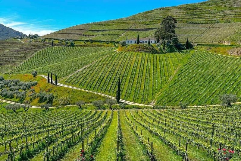 Douro Valley, Portugal