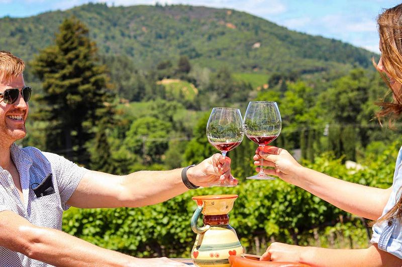 Sonoma County's Hidden Vineyard Retreats